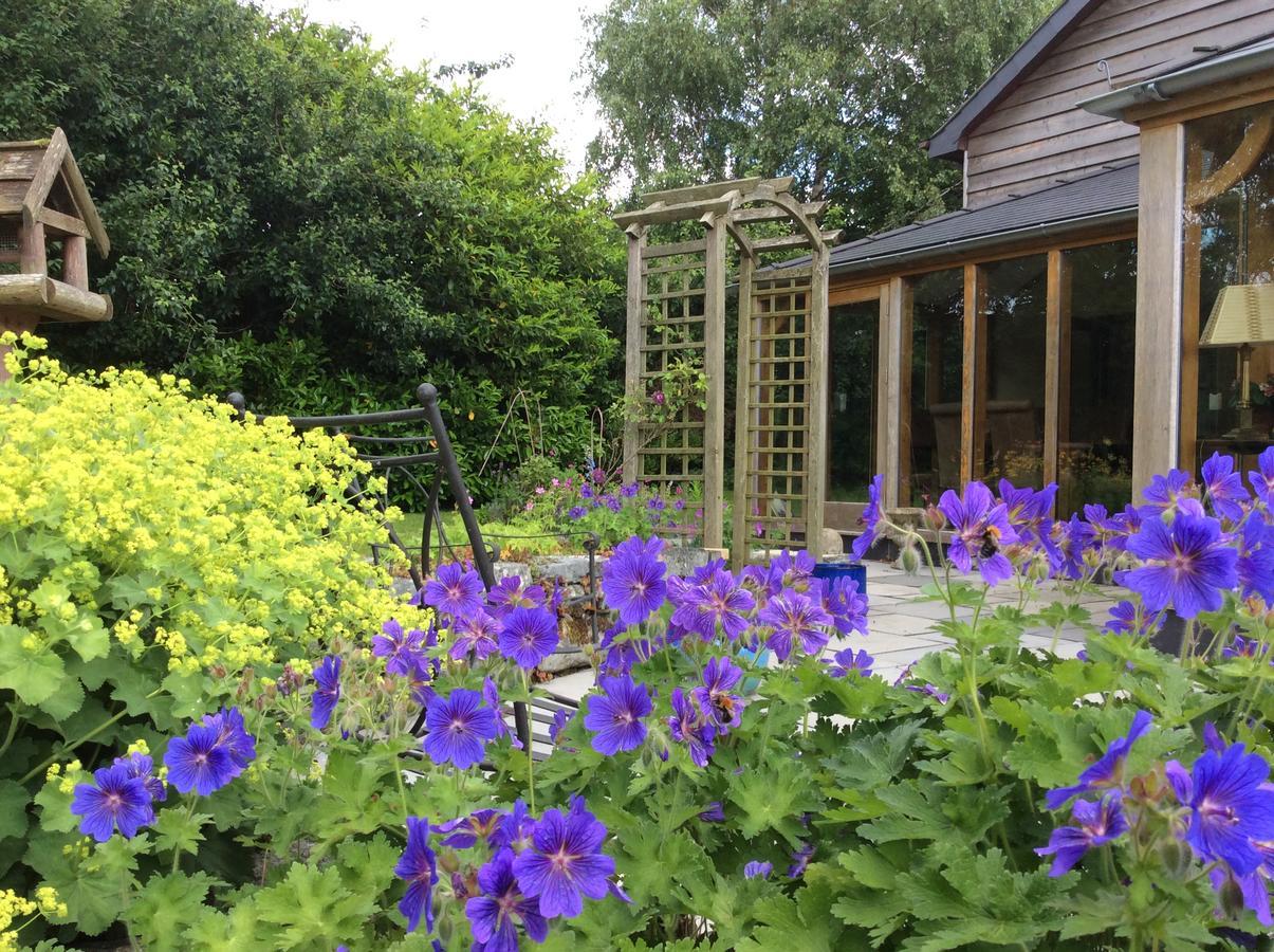 Cysgod Y Garn Bed and Breakfast Bala Exterior foto