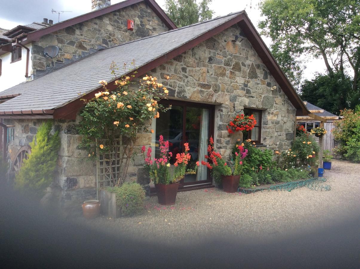 Cysgod Y Garn Bed and Breakfast Bala Exterior foto