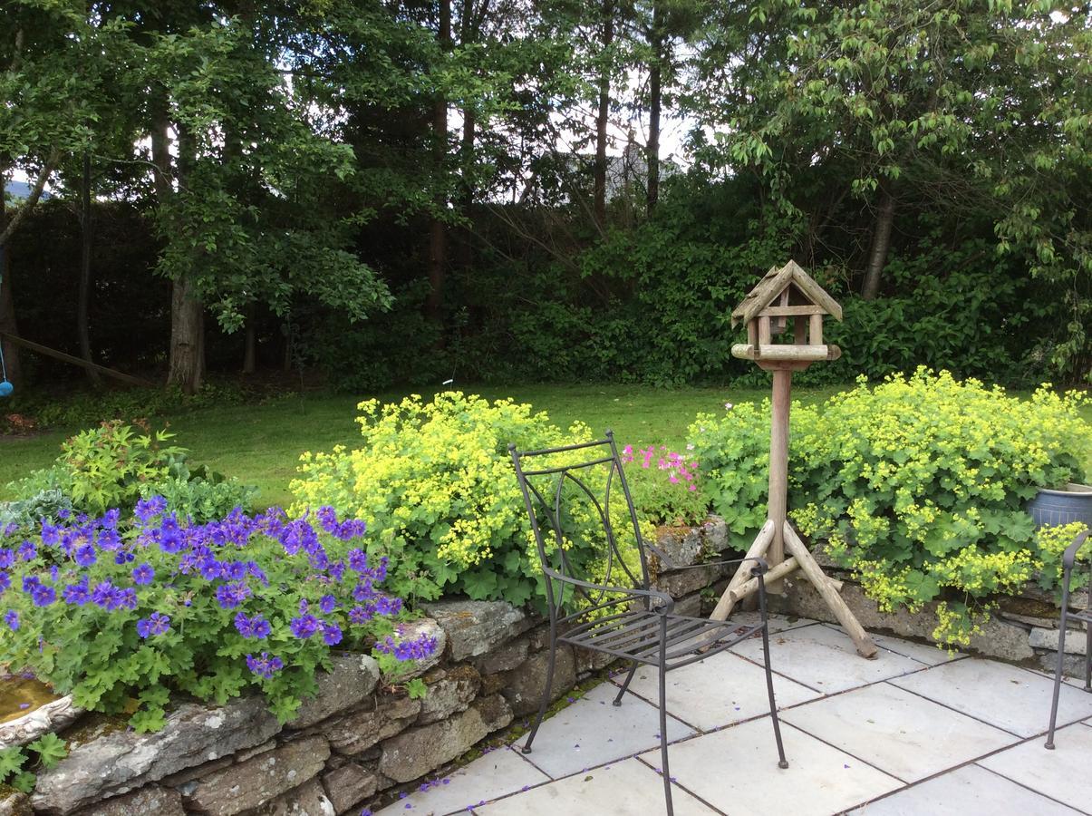 Cysgod Y Garn Bed and Breakfast Bala Exterior foto